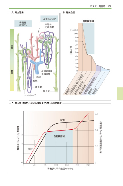 カラー図解 よくわかる生理学の基礎 第2版 [単行本] 佐久間康夫