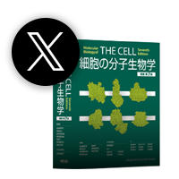 Xアイコン