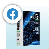 Facebookアイコン