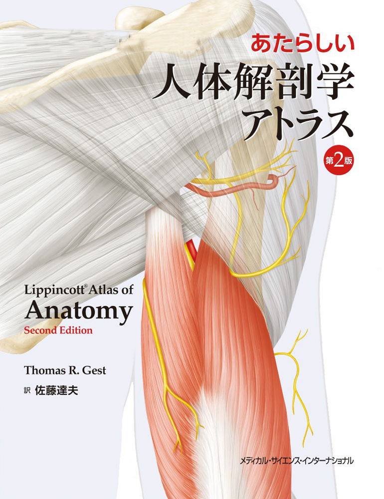 解剖学実習アトラス