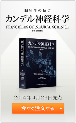 脳科学の頂点 カンデル神経科学 2014年4月23日発売 今すぐ注文する